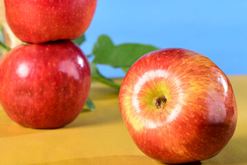 beautiful red apples seen from the side isolated on yellow and blue background, healthy natural fruit