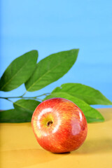 beautiful red apples seen from the side isolated on yellow and blue background, healthy natural fruit