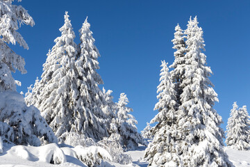 Winter landscape of Vitosha Mountain, Bulgaria