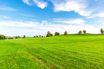 Fototapeta na wymiar Green grass field and blue sky. Bright sunny summer day.