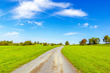 Road in a field of green grass and blue sky. Bright sunny summer day.