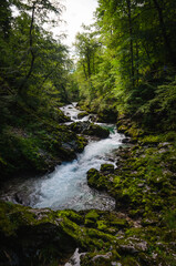 Vintgar gorge of Radovljica river in Slovenia
