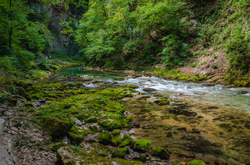 Naklejka na ściany i meble Vintgar gorge of Radovljica river in Slovenia 