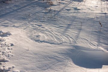 patterns in the sun (wind blown)