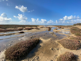 sand dunes on the beach