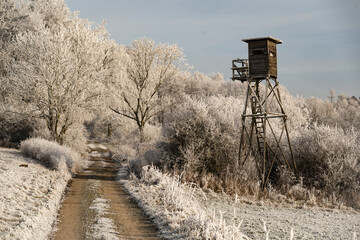 Hunter's high seat in a picturesque winter landscape with white frosted trees along a forest path,...