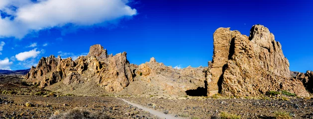 Foto op Canvas Panoramic landscape in Roques de Garcia, Tenerife, spectacular volcanic rock formations. © Joaquin Corbalan