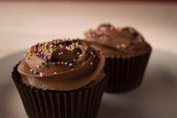 chocolate cupcakes sparks
