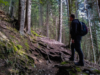 Obraz premium A man with a bag hiking in a forest