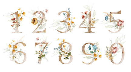 Fototapeta Gold Green Floral Number Set - digits 1, 2, 3, 4, 5, 6, 7, 8, 9, 0 blue yellow peach pink white gold botanic flower branch bouquets. Wedding invitations, baby shower, birthday, other concept ideas. obraz