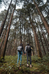 Naklejka na ściany i meble Pareja de jóvenes excursionistas tomados de la mano, mirando hacia los árboles, en el bosque al amanecer