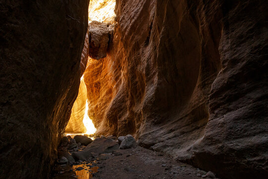 Avakas gorge, nature landscape, Cyprus. View of the popular canyon, tourist attraction in Paphos district.