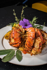Lobster dish with vegetables seafood 