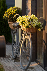 Fototapeta na wymiar bicycle, decorated with flowers, in the sunset sunbeams