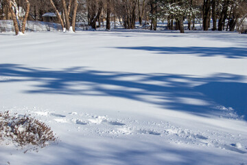 Abstract texture background of fresh footprints in deep white snow on a cold sunny winter day
