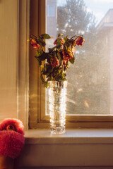 vase of dried pink roses on windowsill with foot in pink fuzzy slipper
