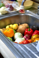 group of fruits and vegetables. Natural, organic food and nutrients. Tomato, pumpkin, nopal, jicama, oranges, peppers.
