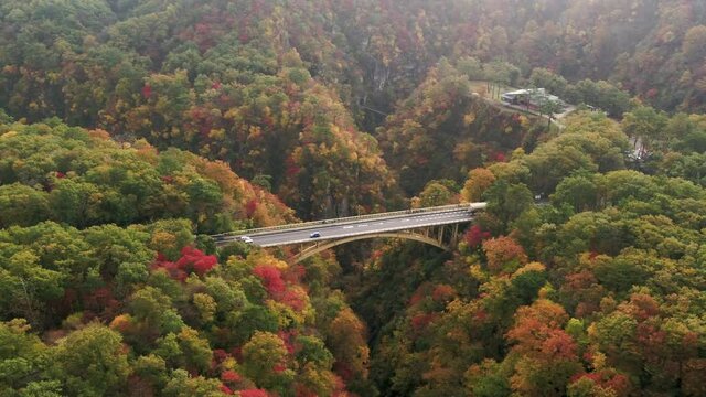 《宮城県》紅葉の鳴子峡
