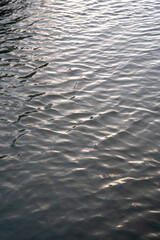 ripples on the water