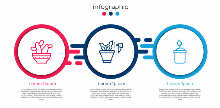 Set line Cactus peyote in pot, Spraying plant and Sprout bottle. Business infographic template. Vector