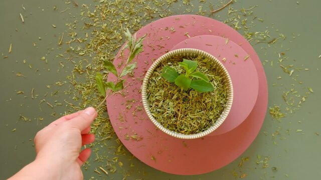 Stevia rebaudiana.View from above. Dry and fresh stevia in a round cup on a pink pedestal.Stevioside Sweetener. Organic natural low calorie sweetener. 4k footage