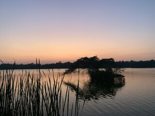Inspirational  sunset over the  lake.  with nature designed beautiful tree . Sunset sky color reflected to the water and create wonderful scenery. 