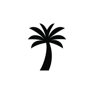Palm, Coconut, Tree, Island, Beach Solid Icon, Vector, Illustration, Logo Template. Suitable For Many Purposes.