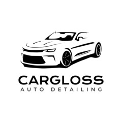 Fototapeta premium Car auto detailing salon logo