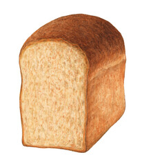 山形ハイギー食パン　水彩色鉛筆イラスト