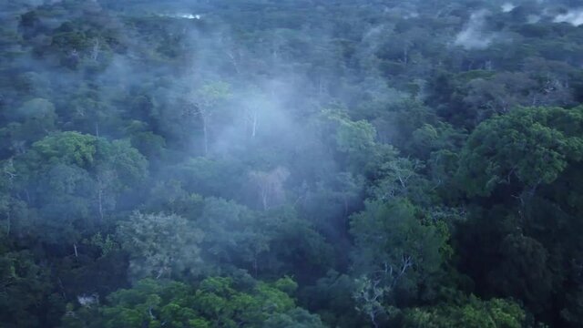 Fog In The Lush Rainforest Of Peru, South America - aerial drone shot