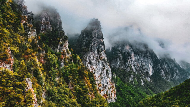 Misty Karst Mountain Valley Landscape