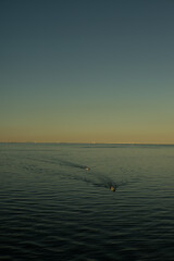 Obraz premium sunset on the sea