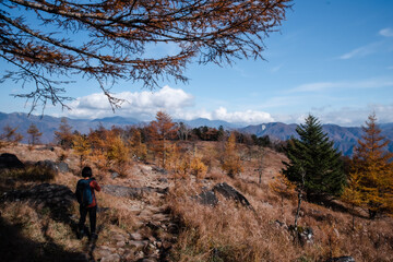 Obraz premium 紅葉の乾徳山