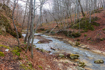 Fototapeta na wymiar mountain river canyon late autumn season in Europe . walking in nature, observing the process of changing the season.