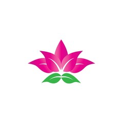 Beauty Vector lotus flowers design logo Template icon