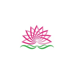 Beauty Vector lotus flowers design logo Template icon