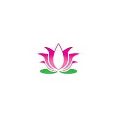 Beauty Vector lotus flowers design logo Template icon