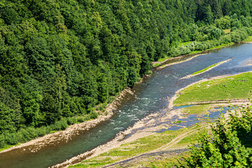 Fototapeta na wymiar mountain river in the forest