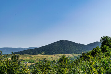 landscape in the summer