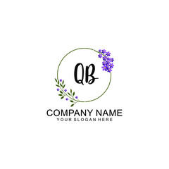 QB Initial handwriting logo vector. Hand lettering for designs