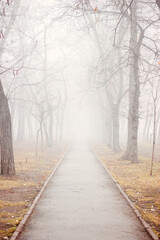Naklejka premium Old asphalt road in autumn park with trees in the fog.