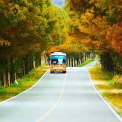 Fototapeta na wymiar bus on the road in autumn