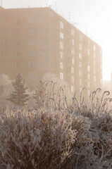 frozen morning january city in south yakutia