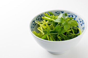 芹　せり　仙台の芹