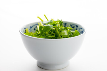 芹　せり　仙台の芹