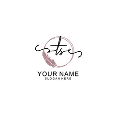 Initial TS beauty monogram and elegant logo design  handwriting logo of initial signature