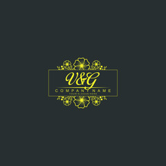 Fototapeta na wymiar VG Initial handwriting logo vector. Hand lettering for designs