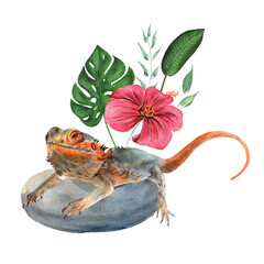 Pogona Vitticeps and exotic tropical flowers. Scaly and Lizards Australia