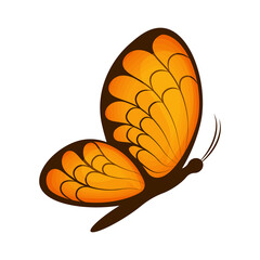Butterfly. Image of a beautiful orange butterfly, side view. A bright moth. Vector illustration isolated on a white background