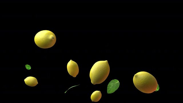 Lemon fruits and mint leaves